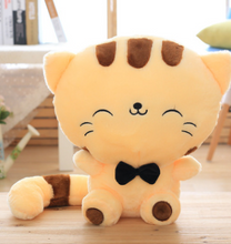 Load image into Gallery viewer, Cute Cat Plush Toy 45cm
