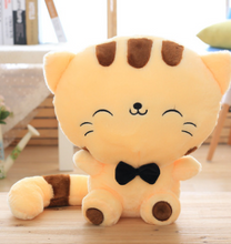 Load image into Gallery viewer, Cute Cat Plush Toy 45cm