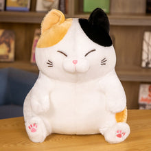 Load image into Gallery viewer, Japanese Lucky Cat Plush Toy