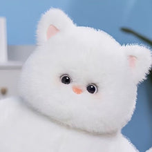 Load image into Gallery viewer, Chubby Cat Plush Toy 40cm