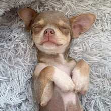 Load image into Gallery viewer, Flooffy Soft Pet Bed