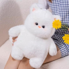 Load image into Gallery viewer, Chubby Cat Plush Toy 40cm
