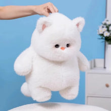 Load image into Gallery viewer, Chubby Cat Plush
