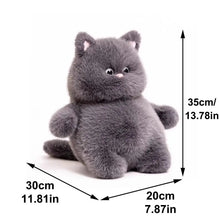 Load image into Gallery viewer, Chubby Cat Plush
